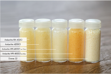 ion exchange (ix) resin 1 asset 10