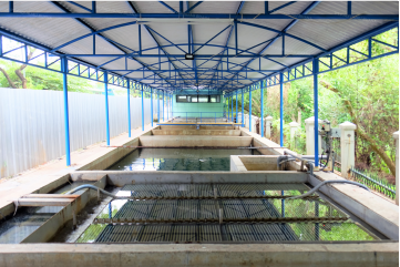 technologies 4 asset 18